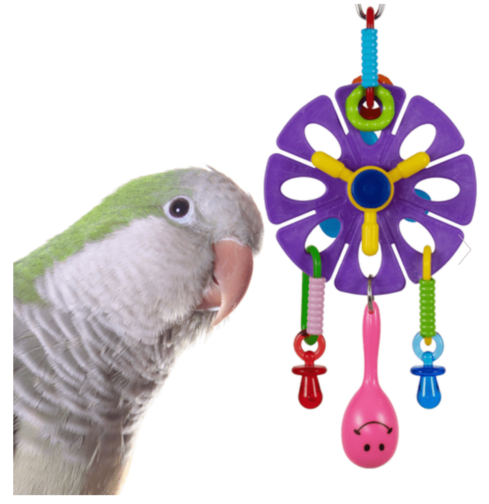 Super Bird Creations Maraca Flower Noise Toys Caiques, Small Conures, Lories, Quakers Toys